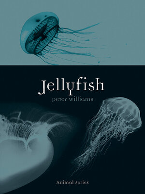 cover image of Jellyfish